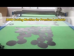 Elektrisch oscillerend tangentieel mes aangepast oscillerend mes CNC voor snijmachine